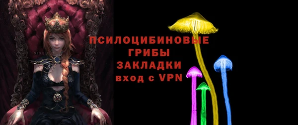 герыч Арсеньев