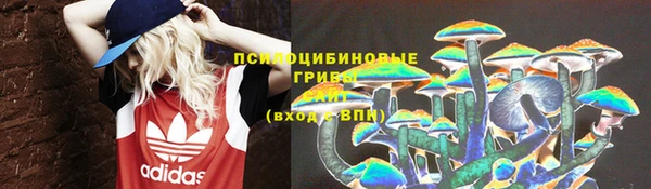 герыч Арсеньев