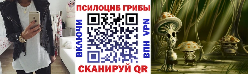 Галлюциногенные грибы Cubensis  Среднеуральск 