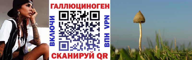 Псилоцибиновые грибы GOLDEN TEACHER Среднеуральск